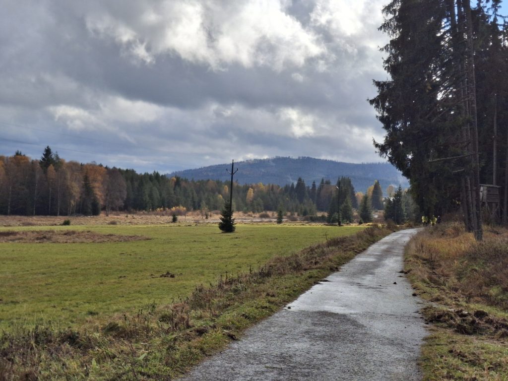 Na Šumavě nemůže být nikdy tak špatné počasí, aby si to tam člověk neužil